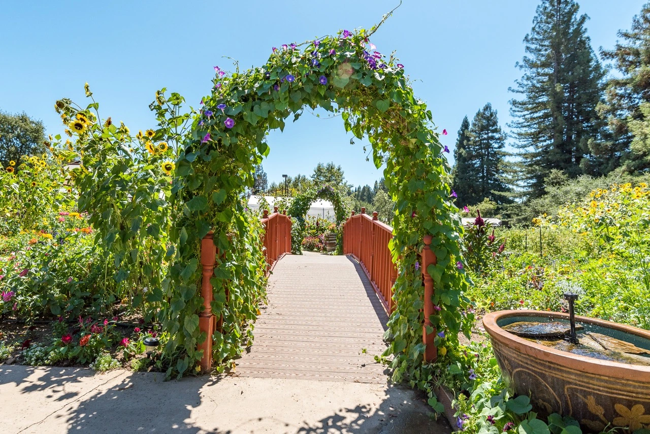 lush green gardens with archway over walking path